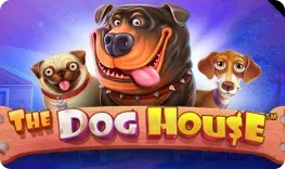 The Dog House spelen bij Wakuna Casino